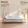 Nệm lò xo Dunlopillo CoolSilk ZEN Prime 30 cm